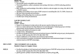Sap Fico Sample Resume Free Download Sap Fico Support Consultant Resume February 2021