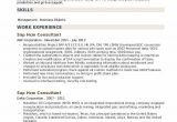 Sap Hcm Resume Samples for Freshers Sap Hcm Consultant Resume Samples