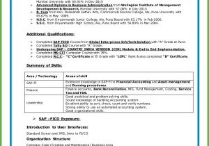 Sap Mm End User Resume Sample Irs form 990 N Electronic Filing System User Guide form