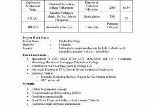 Sap Mm Sample Resume 3 Years Experience Sap Mm Materials Management Sample Resume 3 06 Years