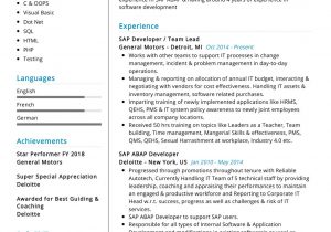 Sap Mm Sample Resume 4 Years Experience Professional Sap Resume Sample