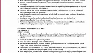 Sap Pp End User Resume Sample Irs form 990 N Electronic Filing System User Guide form