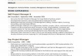 Sap Project Manager Resume Sample Doc [view 44 ] Download Project Management Business