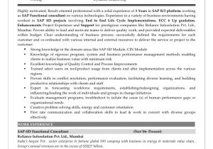 Sap Sd Functional Consultant Resume Sample Sap Sd Functional Consultant