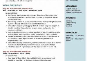 Sap Sd Functional Consultant Resume Sample Sap Sd Functional Consultant Resume Samples