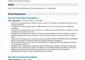 Sap Sd Functional Consultant Resume Sample Sap Sd Functional Consultant Resume Samples