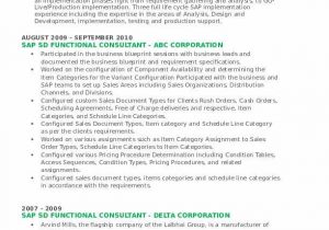 Sap Sd Functional Consultant Resume Sample Sap Sd Functional Consultant Resume Samples