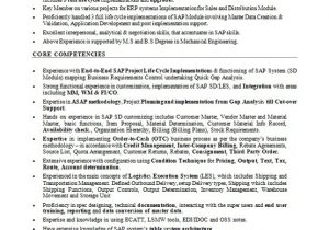 Sap Sd Resume Sample for Experienced Sap Sd Analyst Sample Resume format In Word Free Download