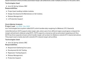 Sap Service Delivery Manager Sample Resume software Delivery Manager Resume 2022 Writing Tips – Resumekraft