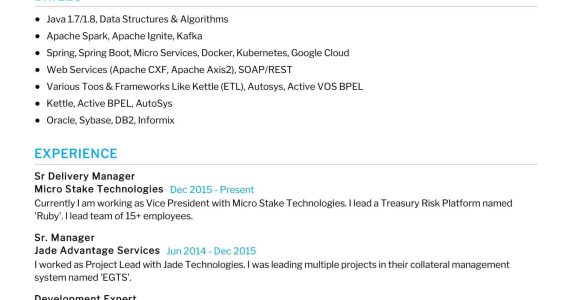 Sap Service Delivery Manager Sample Resume software Delivery Manager Resume 2022 Writing Tips – Resumekraft