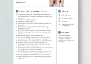 Sas Administrator Grid Experience Resumes Sample Free Free Sas Administrator Resume Template – Word, Apple Pages …