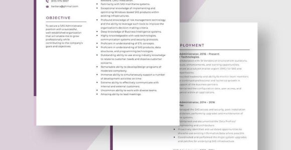 Sas Administrator Grid Experience Resumes Sample Free Free Sas Administrator Resume Template – Word, Apple Pages …