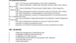 Scheduling Agreements In Sap Sd Sample Resumes Sap Sd Consultant Resume Pdf Sap Se Brand