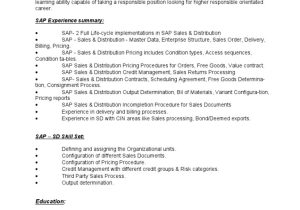 Scheduling Agreements Sap Sd Sample Resumes Sap Sd Consultant Resume Pdf Sap Se Brand