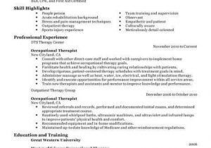 School Based Occupational therapy Resume Sample How to Write the Skills Section In Your Resume