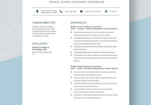School Counselor Resume Sample Handle Acs School Resume Templates – Design, Free, Download Template.net