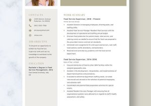 School Food Service Supervisor Sample Resume Free Free Food Service Supervisor Resume Template – Word, Apple …