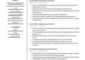 Security Director Of Operations Sample Resume Security and Protective Services Resume Examples & Writing Tips 2022