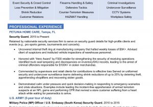 Security Guard Resume Examples and Samples Security Guard Resume Template