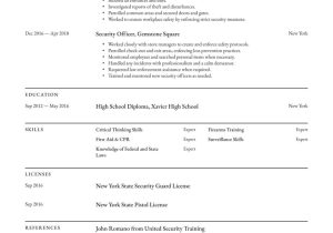 Security Guard Resume Samples In Canada Security Officer Resume Examples & Writing Tips 2022 (free Guide)