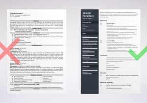 Security Officer Job Description Sample Resume Security Officer Resume Sample & Guide (any Experience)