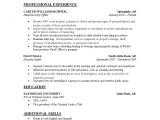 Security Officer Security Guard Resume Sample Security Guard Resume