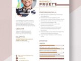 Select A Vision Glasses Merchandiser Resume Samples Resume Layout Templates – Design, Free, Download Template.net