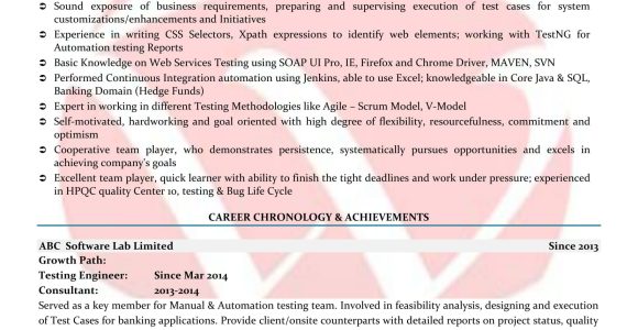 Selenium with Net Sample Resume for 3 Years Experience Selenium Sample Resumes, Download Resume format Templates!