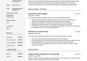 Self Employed Hair Stylist Resume Sample Full Guide: Hairdresser Resume 18 Examples Pdf 2022