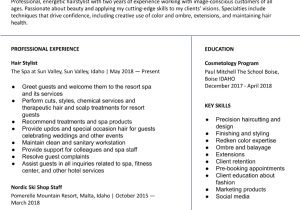 Self Employed Hair Stylist Resume Sample Hair Stylist Resume Examples In 2022 – Resumebuilder.com