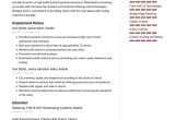 Self Employed Hair Stylist Resume Sample Hair Stylist Resume Examples & Writing Tips 2022 (free Guide)