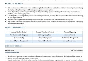 Senior Audit associate Resume Sample Big4 Auditor Resume Examples & Template (with Job Winning Tips)