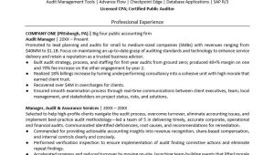 Senior Audit associate Resume Sample Big4 Auditor Resume Sample Monster.com