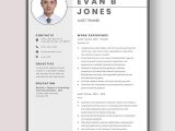 Senior Audit Readiness Consultant Resume Sample Audit Resume Templates – Design, Free, Download Template.net