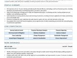 Senior Audit Readiness Consultant Resume Sample Auditor Resume Examples & Template (with Job Winning Tips)