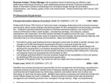 Senior Business Analyst Resume Sample Pdf 20 Business Resume Templates Pdf Doc