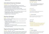 Senior Business Development Executive Resume Sample Business Development Resume Samples [4 Templates   Tips] (layout …
