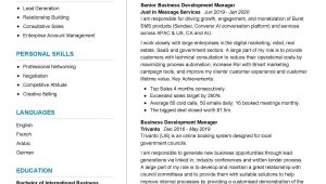 Senior Business Development Executive Resume Sample Senior Business Development Manager Resume Sample 2022 Writing …