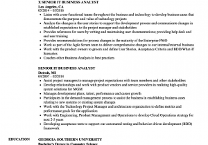 Senior Business Systems Analyst Resume Sample Senior Business Analyst Resume