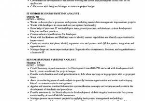 Senior Business Systems Analyst Resume Sample Senior Business Analyst Resume