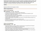 Senior Civil Engineer Resume Sample Doc Senior Civil Engineer Resume Samples