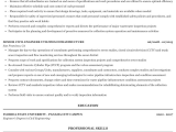 Senior Civil Engineer Resume Sample Doc Summary for Civil Engineer Resume 20 Civil Engineer
