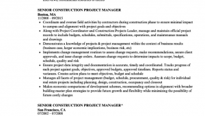 Senior Construction Project Manager Resume Samples Simple Construction Project Manager Resume Sample Senior