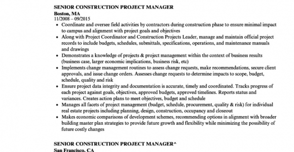 Senior Construction Project Manager Resume Samples Simple Construction Project Manager Resume Sample Senior