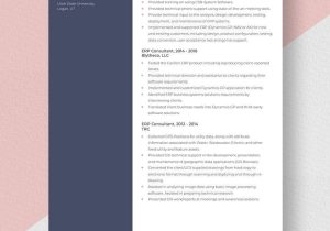 Senior Dynamics Gp Consultant Resume Samples Free Free Erp Consultant Resume Template – Word, Apple Pages …