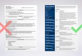 Senior Executive Professional Resume Design and Samples Best Executive Resume Template & 20lancarrezekiq C-level Examples