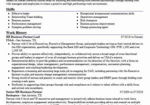 Senior Hr Business Partner Resume Sample Senior Hr Business Partner Resume Example Barclays Bank