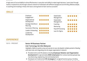 Senior Hr Business Partner Resume Sample Senior Hr Business Partner Resume Resumekraft