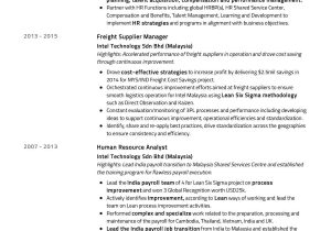 Senior Hr Business Partner Resume Sample Senior Hr Business Partner Resume Resumekraft