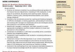 Senior Hr Business Partner Resume Sample Senior Hr Business Partner Resume Samples